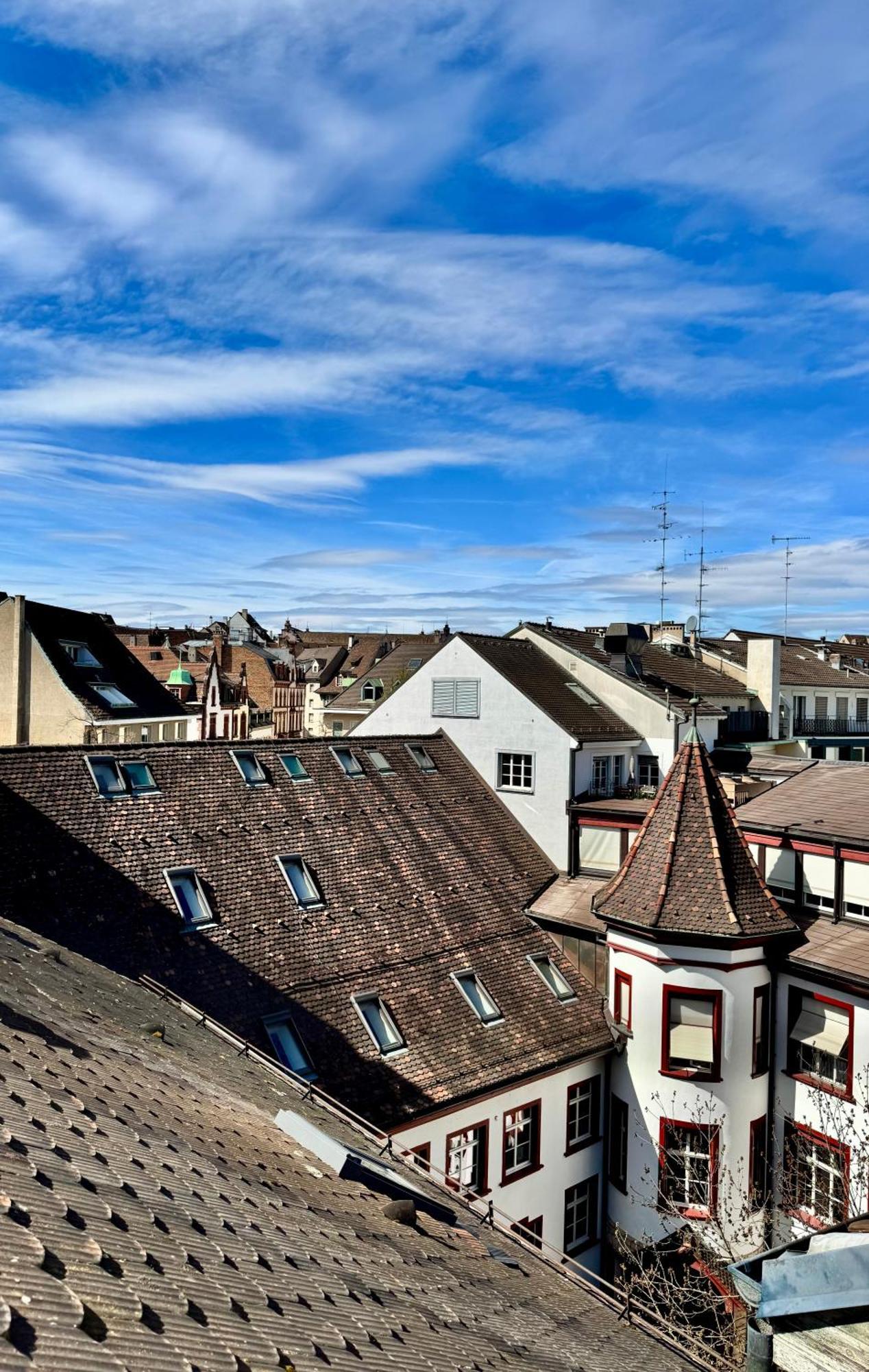 City Center Rooftop Balcony-Studio At Town Hall Basilej Exteriér fotografie